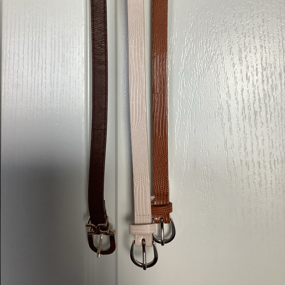 Brown, chestnut and white belts